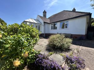 Photo 23- click for photo gallery